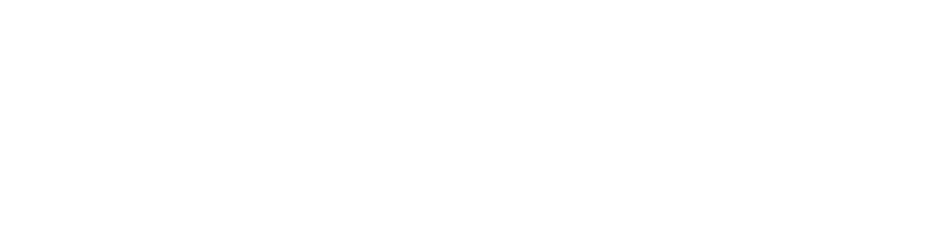 brandforse-logo-white-img